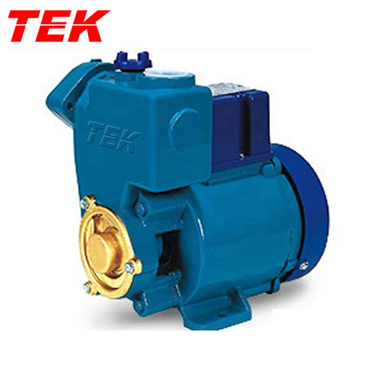 GP-250A GP250A GP-250 GP-250 Copper Wire Motor Cast Iron Self-priming Peripheral GP Pump OEM