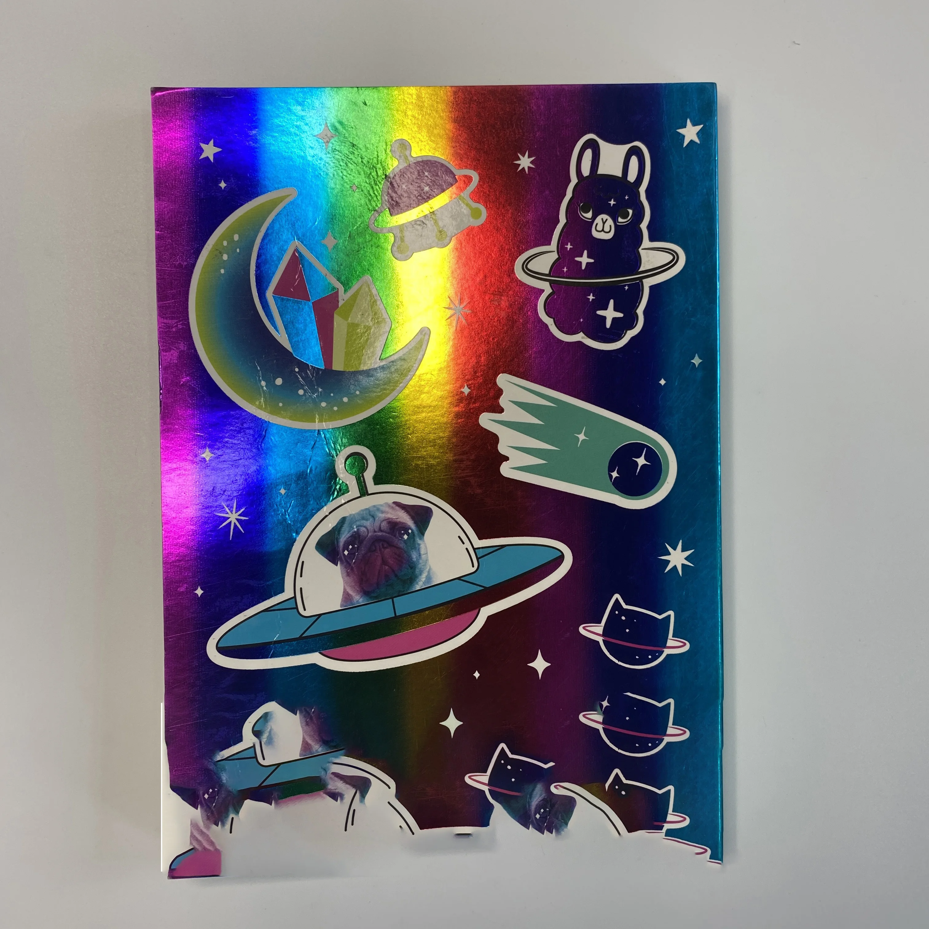 A5 High quality custom printing full color reusable softcover sticker book 1000+ pcs Green