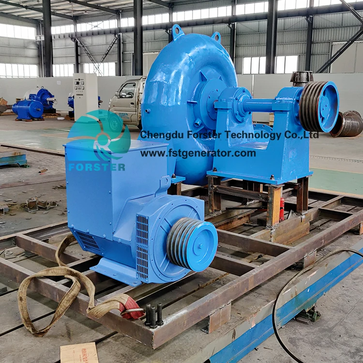 Hydraulic Electric Micro Hydro Electric Plant 300kW Hydro Generator Electric 100kW Water Turbine