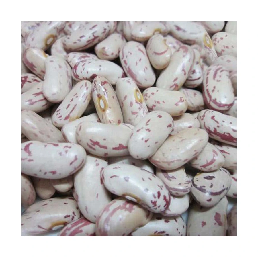 Wholesale Non-gmo Quality Attractive Price Beansdney Speckled Kidney Beans