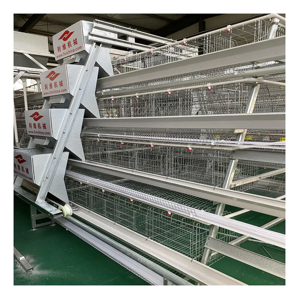 Favorable Price A Type Chicken Cage Wire Mesh Broiler Bird Breeding Cages for Chicken