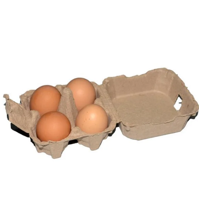 Customizable Disposable Recyclable Biodegradable Compostable Eco-Friendly Shock-Proof Cushioned Water-Proof Paper Pulp Molded 18