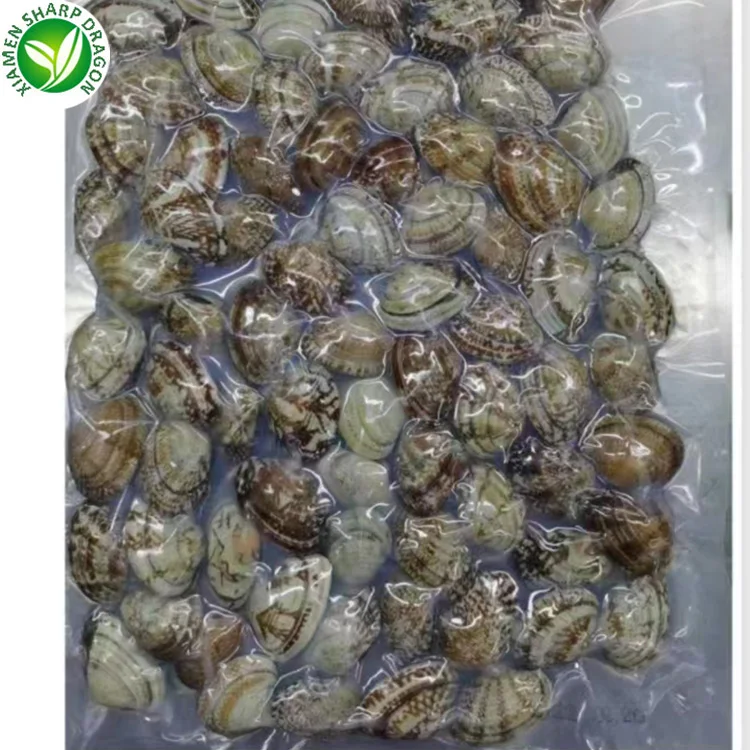 IQF замороженное вареное мясо моллюсков