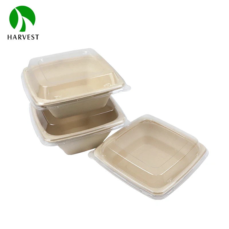 Disposable Bamboo Takeaway Sugarcane 32Oz 24Oz Pulp Food Container