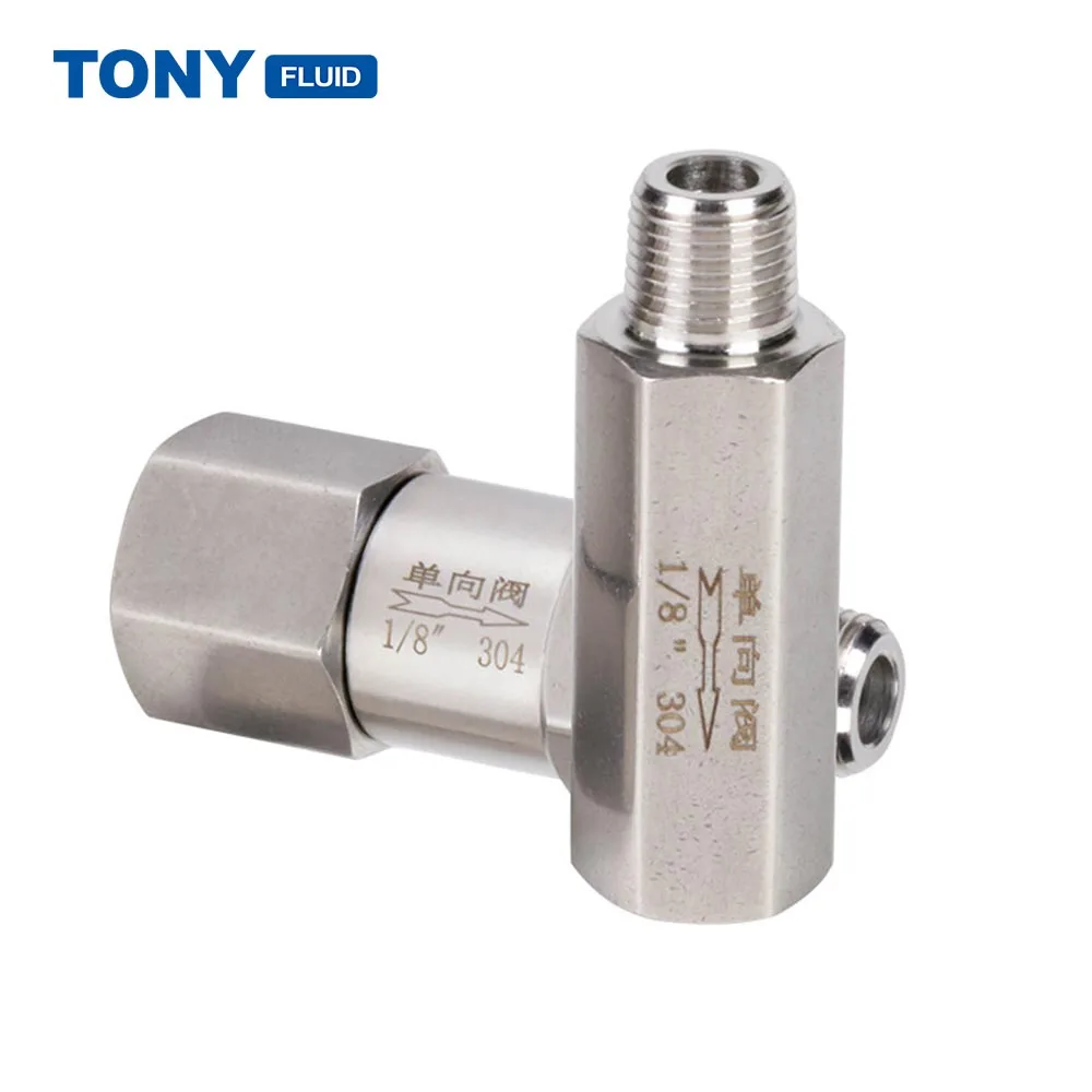 High Pressure 6000Psi SS304 SS316 Split Check Valve Male Female Non Return One Way Valve