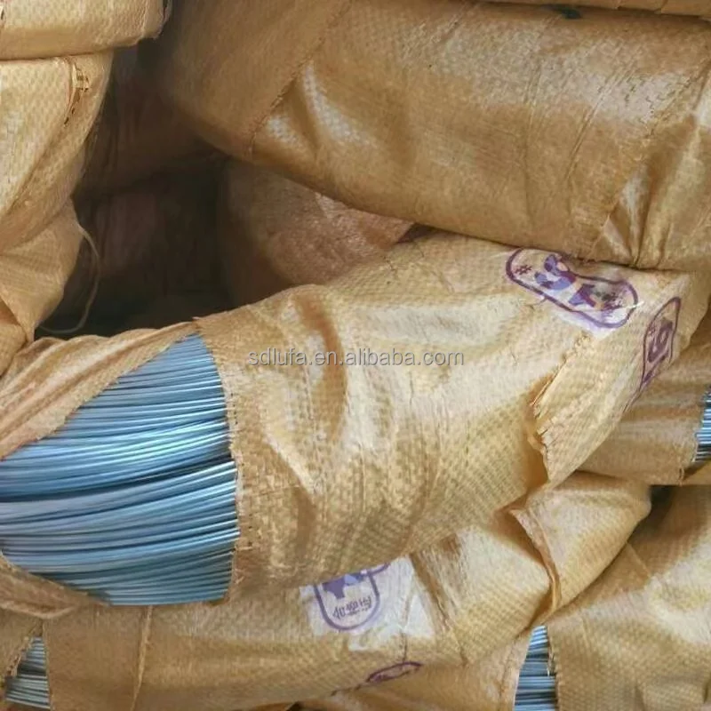 Hot Sale Iron Wire GI Galvanized Binding Wire High Quality BWG20 21 22 Galvanized Iron Wire