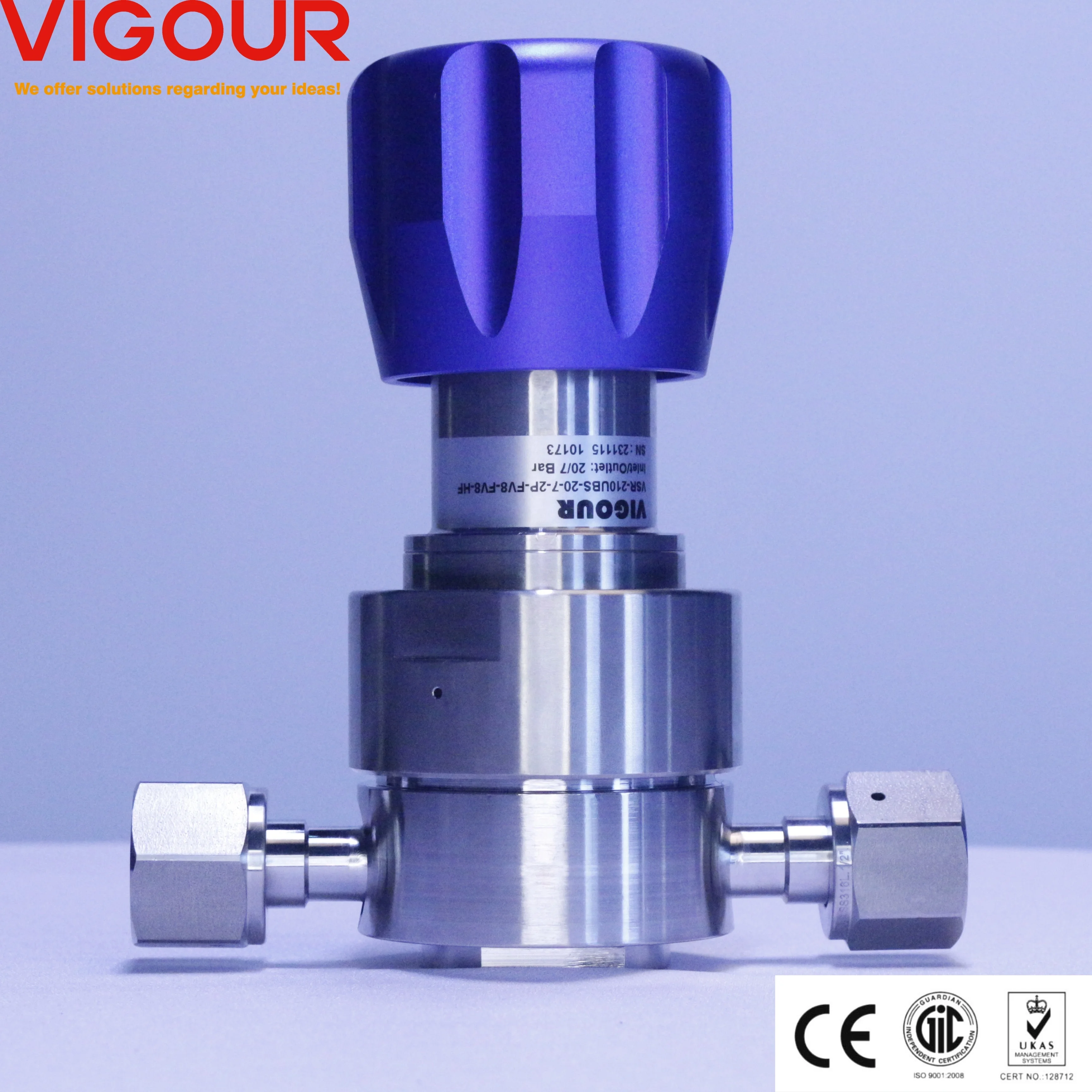 Single-Stage Manual Pressure Regulator High Temperature Diaphragm Ultra High Purity 316L Gas Media Gas Pressure Reducing Valves