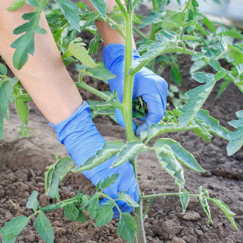 100PCS/Box Nitrile Gloves Chemical Resistance Waterproof Gloves Powder Free Disposable Ice Blue Nitrile Gloves for Gardening