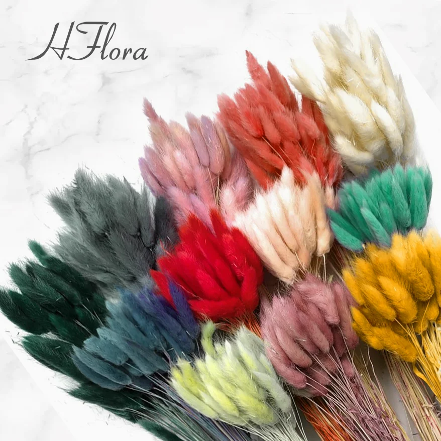Hfloral Wholesale Bouquet dried flowers wedding decoration design party flower arrangement preserved forever Lagurus ovatus