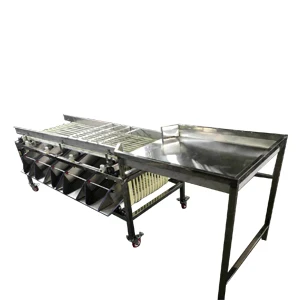 
2020 new style jujubes red dates plums grading processing sorting machine 