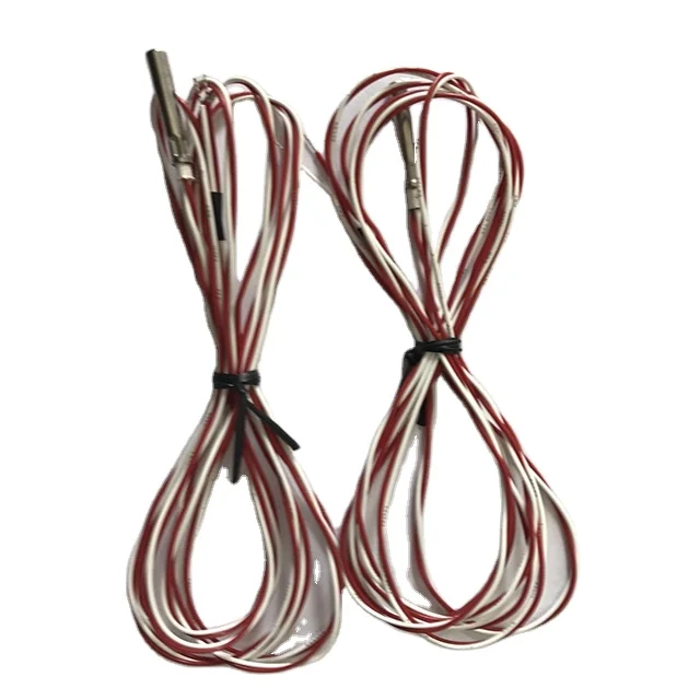 RTD PT100 sensor 2 wires