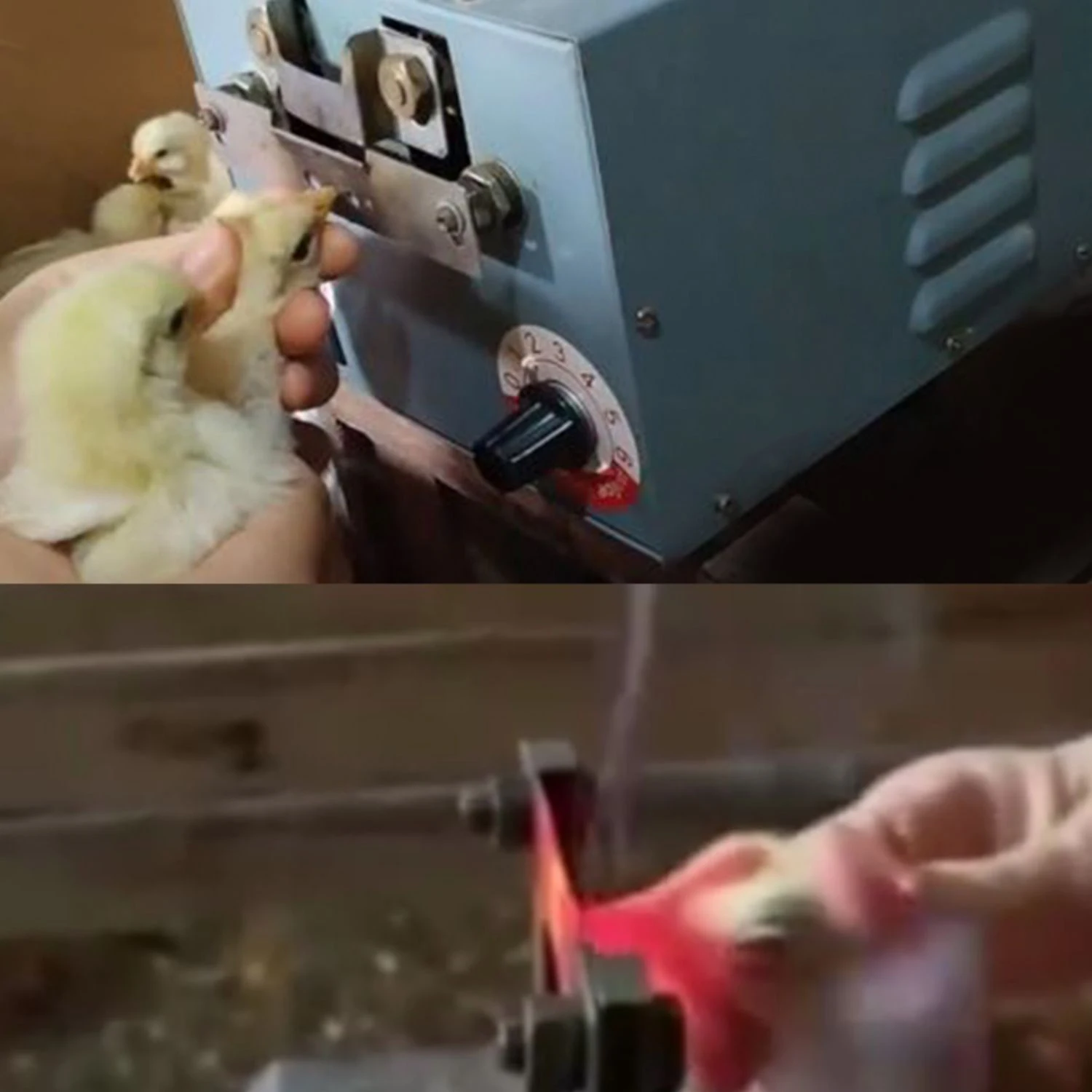 Good Quality Equipments Poultry Farm Debeaking Automatic Debeaker Chicken Beak Cutting Machine for Chicken Mouth Cutter