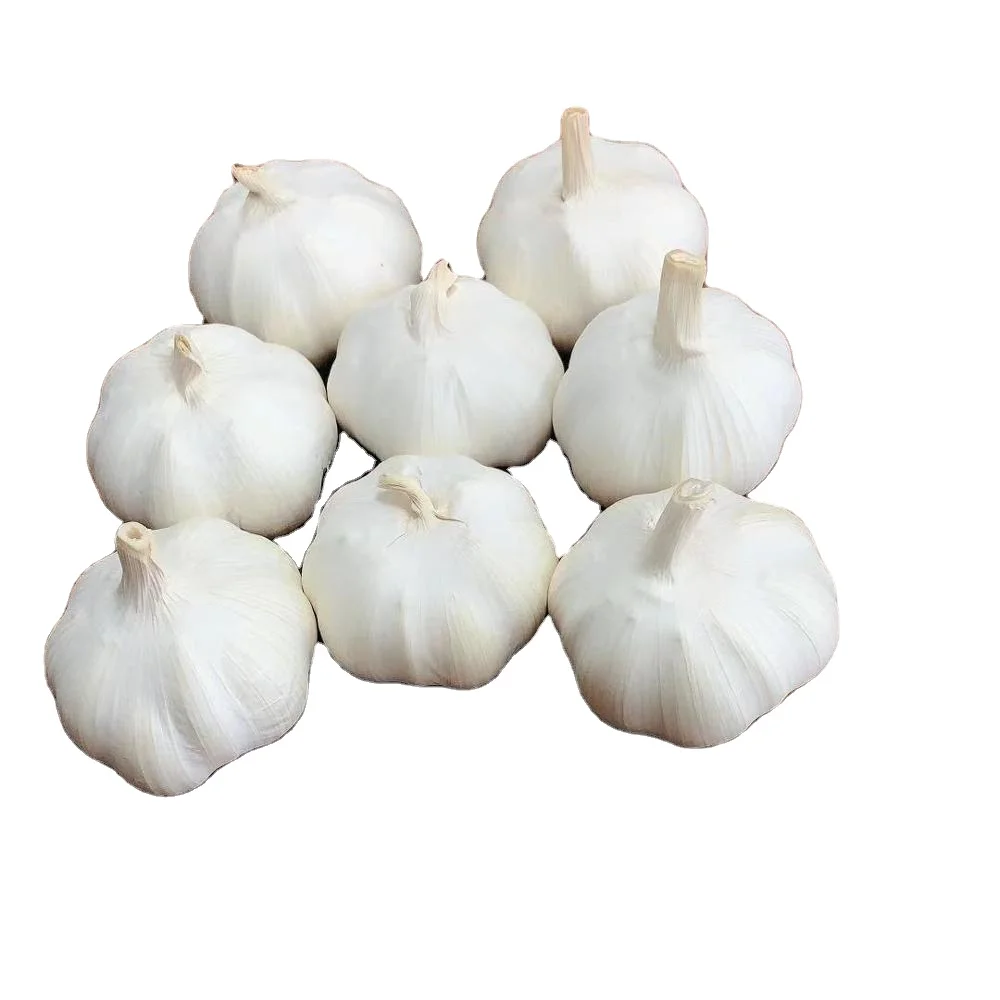 China/Chinese Fresh White Garlics Supplier (red garlic/white garlic) 500G/1KG