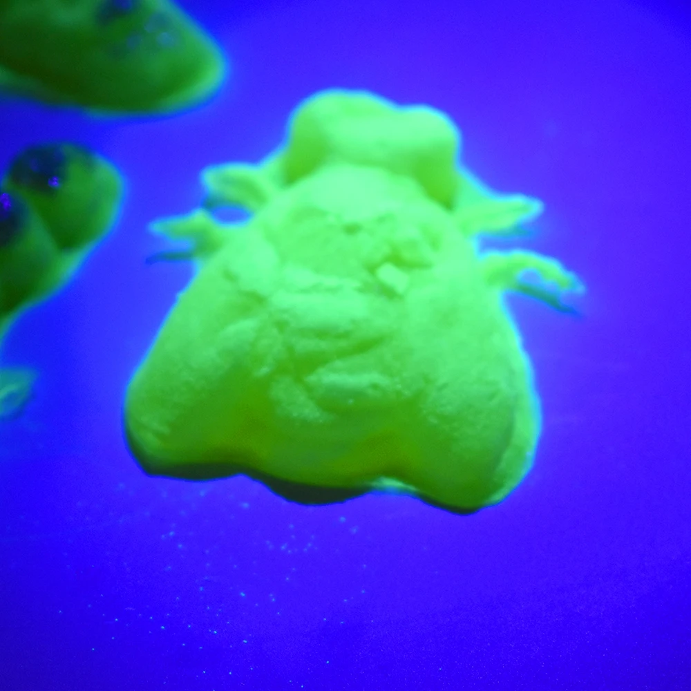 Jelly Bugs New Product Funny Kid Game Diy Experiment Science Exploring Kit Toys