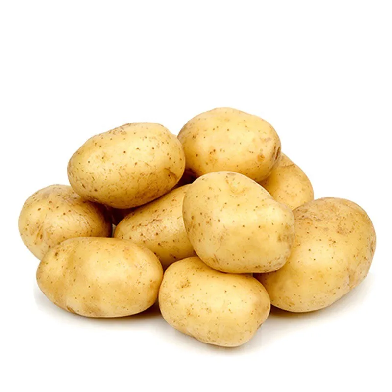 Sweet Fresh Holland Potato Seeds 2021 Price,TSPT22, sweet potato, Fresh Potato Price, Holland Potato Farms