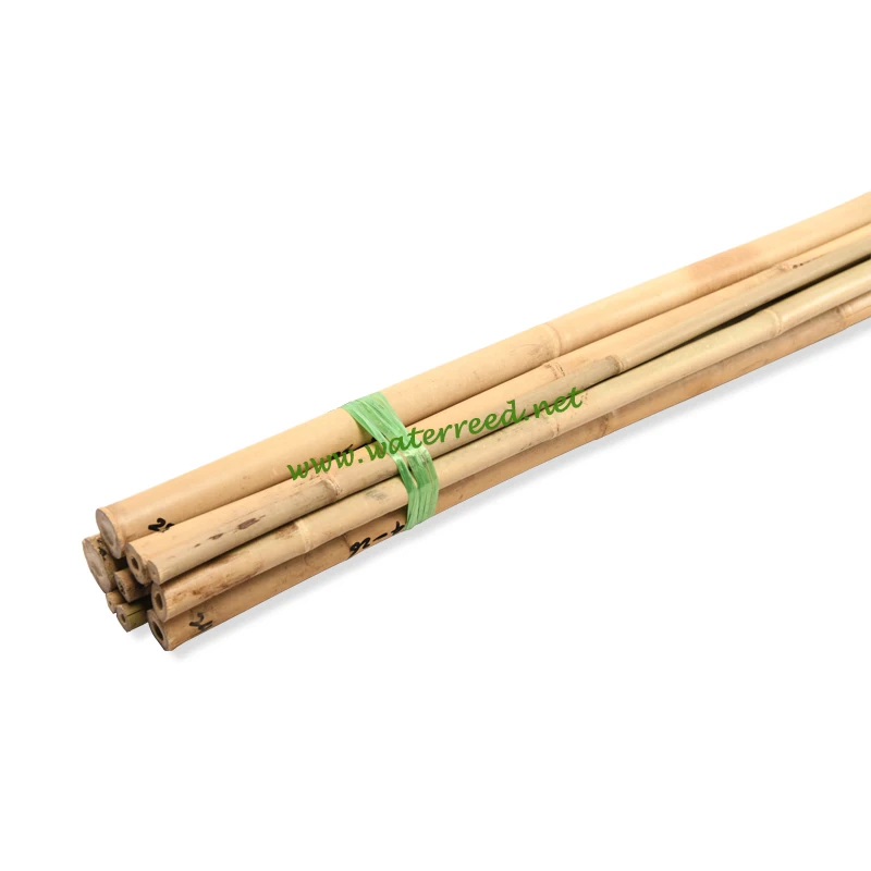 BAMBOOSTICK3
