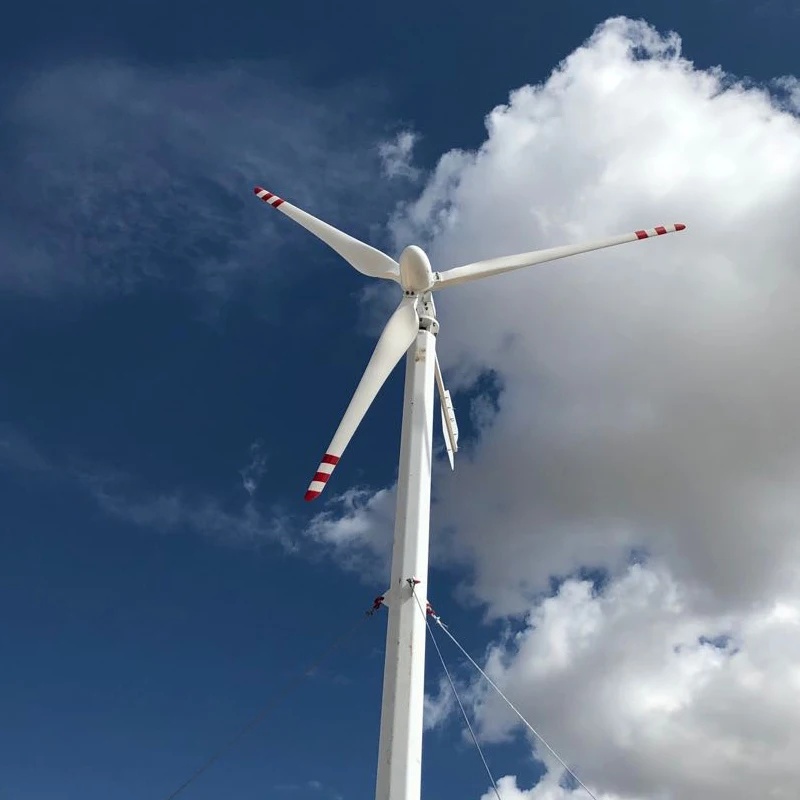 1kw 2kw 3kw 5kw 10kw wind turbine for home off grid/on grid wind generator 12v 24v 48v 96v 120v 220v 240v wind generator price