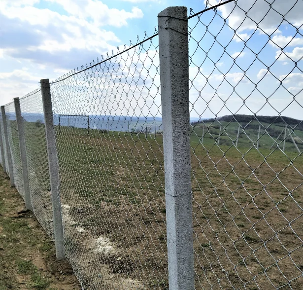 low price 8 foot pvc diamond wire mesh garden fence