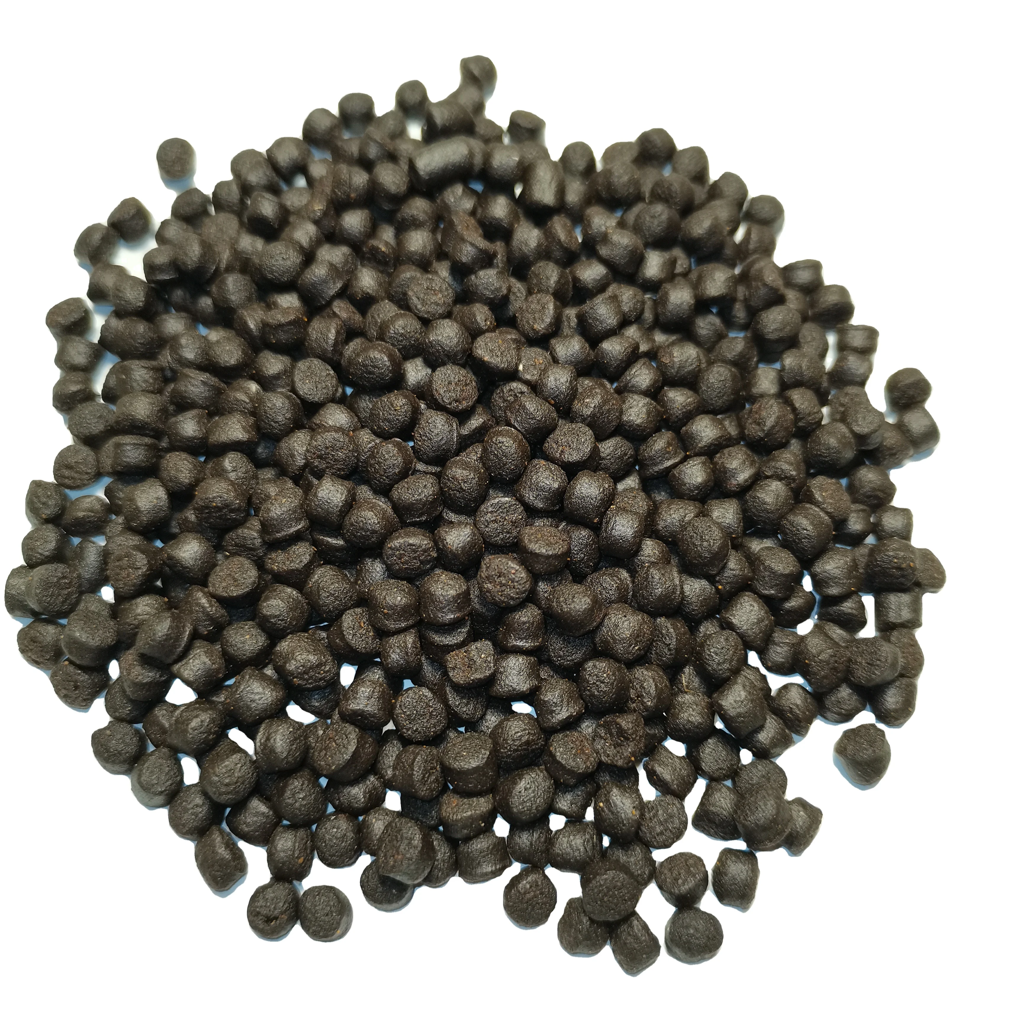 Neoceratodus forsteri feed Barramundi feed