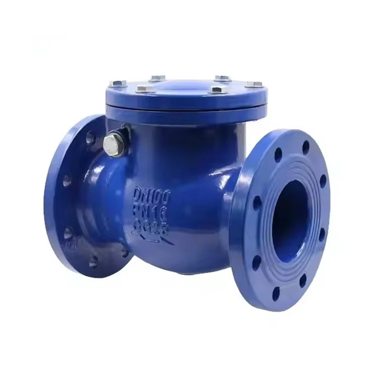 Industrial High Quality Flange Connection Ductile Iron Wafer Type Swing Check Valve