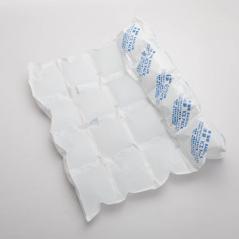 BSG замороженная еда свежий пакет для сохранения сухого льда одна штука 24 ячейки пакеты кубиков Лидер