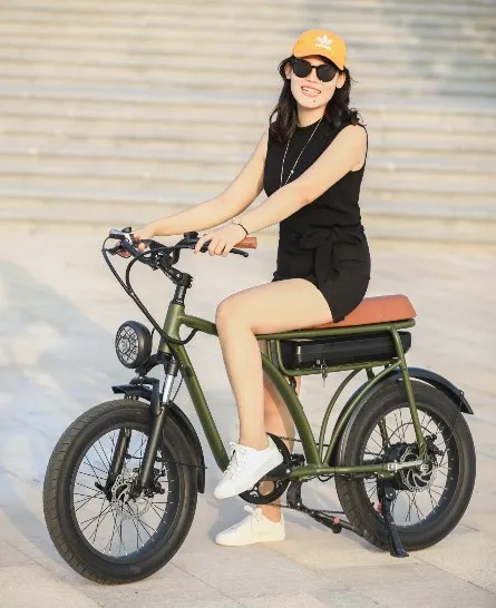 2023 low price cheap off-road new design Vintage fat tire hub 500w motor 20 inch wheels e bicycles electric bikes for adults