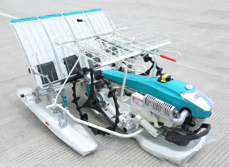 6 Rows Handpush Rice Planter Walk Behind Rice Planting Machine Walking Paddy Transplanter