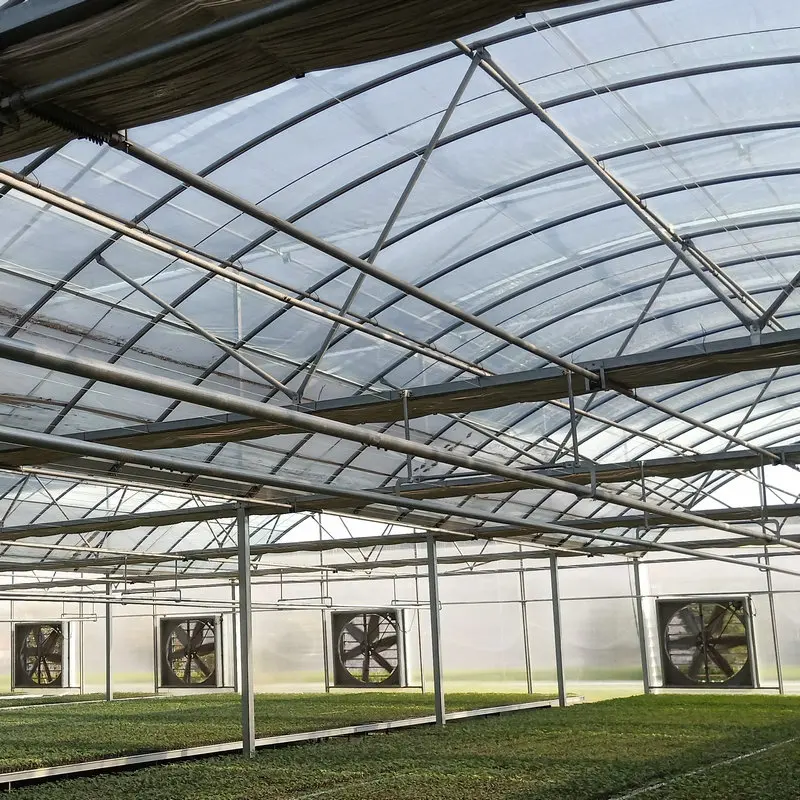 agricultural farm used greenhouse frames for sale