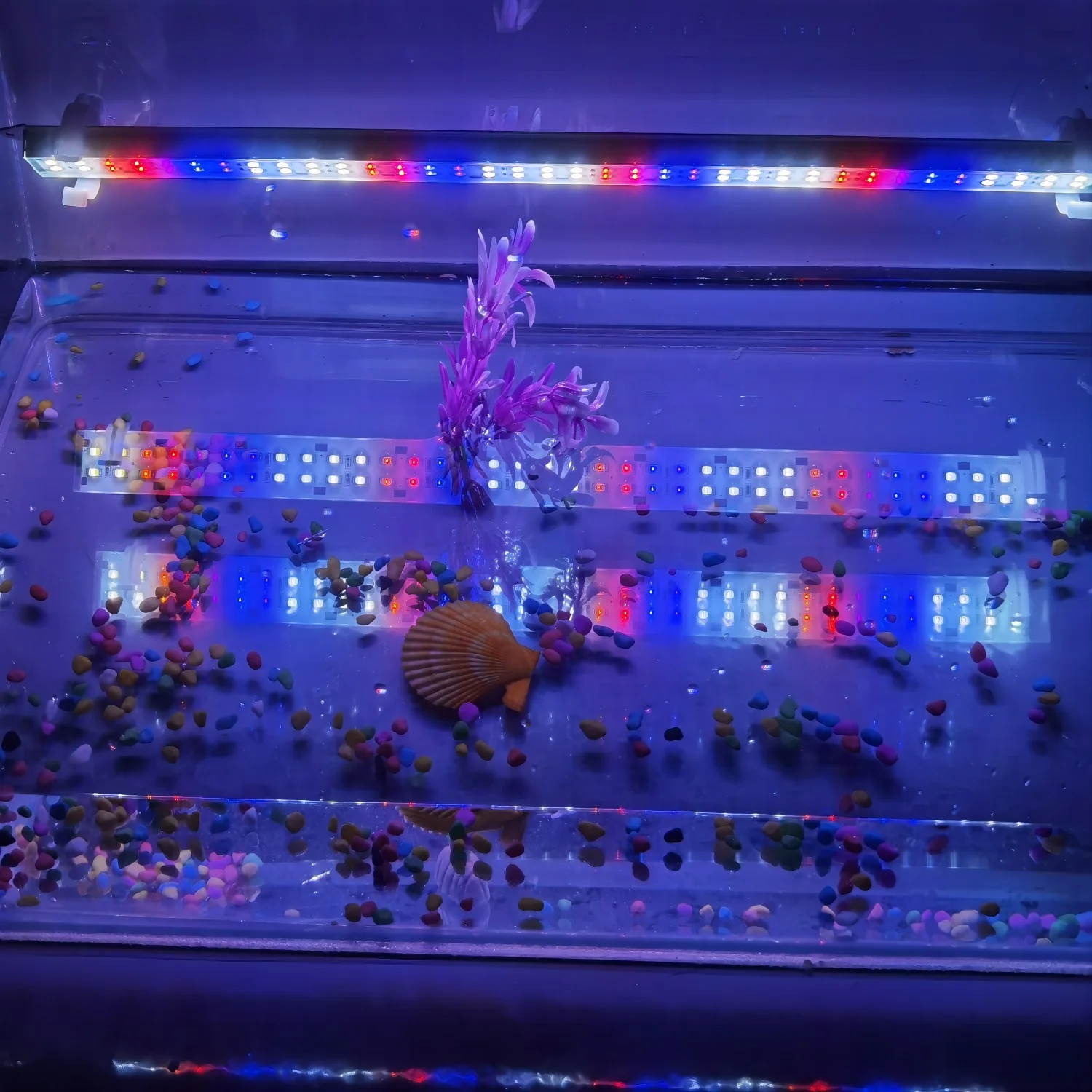 High Quality 14W Amber/White LED Trailer Lighting for Outdoor Camping 12V/24V for RV Caravan Awning Boat