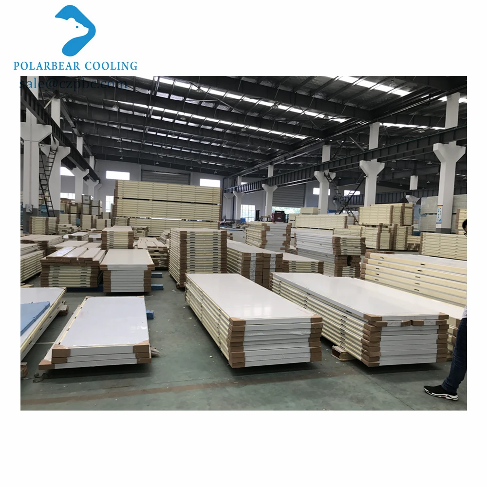 Fire Insulation Polyurethane Panels for Cold Room PU Sandwich Panel Camlock Board