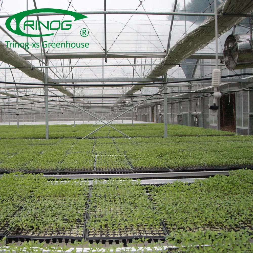 Trinog Design folding portable greenhouse for sale