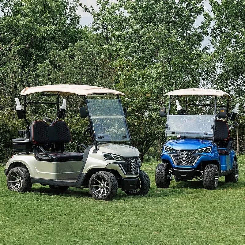 New Design golf electric car 2 Cortex seater golf club application golf car with Front Basket