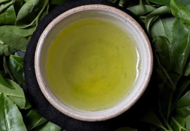 
Bagged citrus yuzu green tea matcha Japanese for refreshment 
