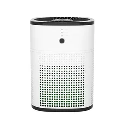 2022 Hot Selling Portable Air Purifier With Hepa Filter  Household Air Purifier