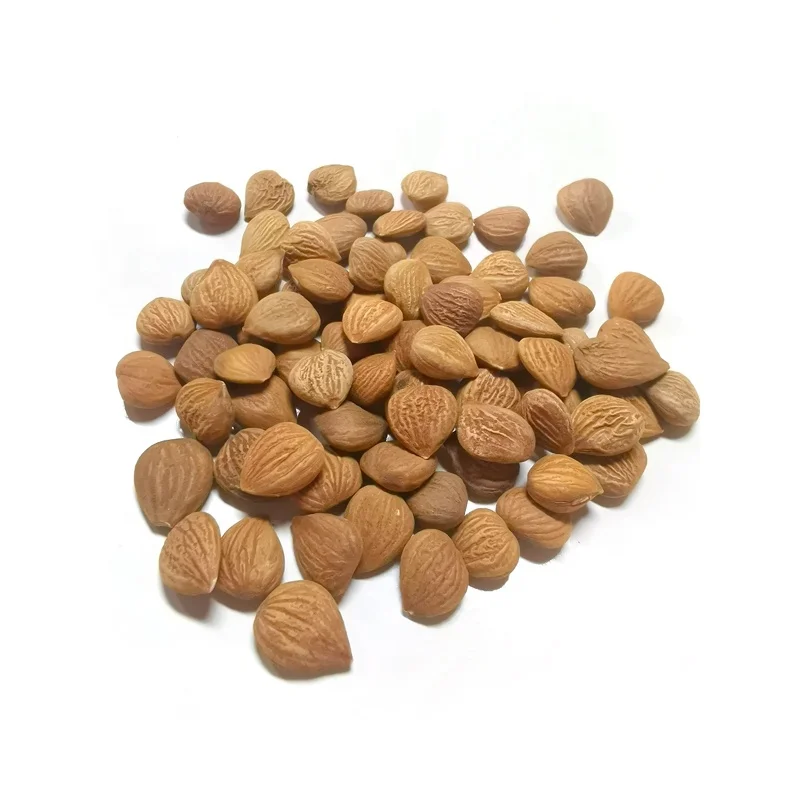 
Raw Apricot Kernels Dosage 