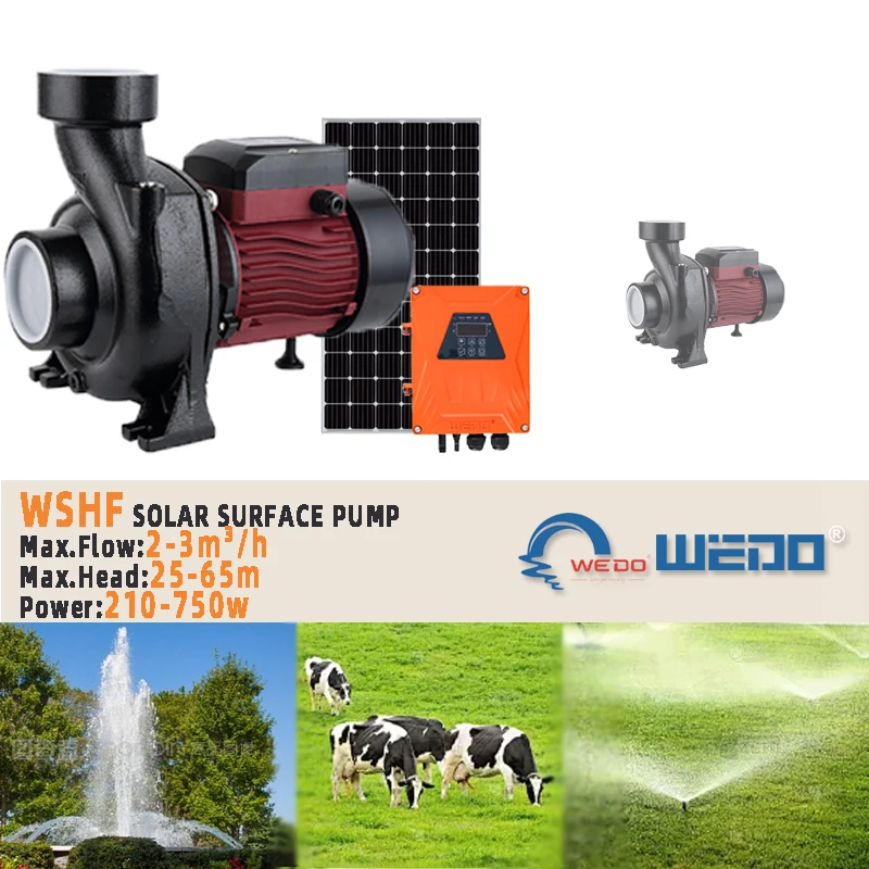 WSHF21-14-96-750 1hp 96v DC Solar Surface Water Pump Agriculture Irrigation Solar Pumps With controller