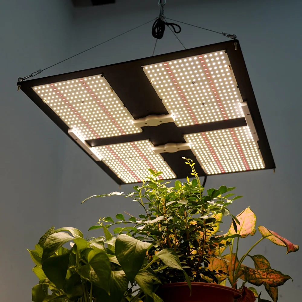 New full spectrum Maaadro 480 w watt commercial lamp quantum panel lm301b lm301h 480w led grow light