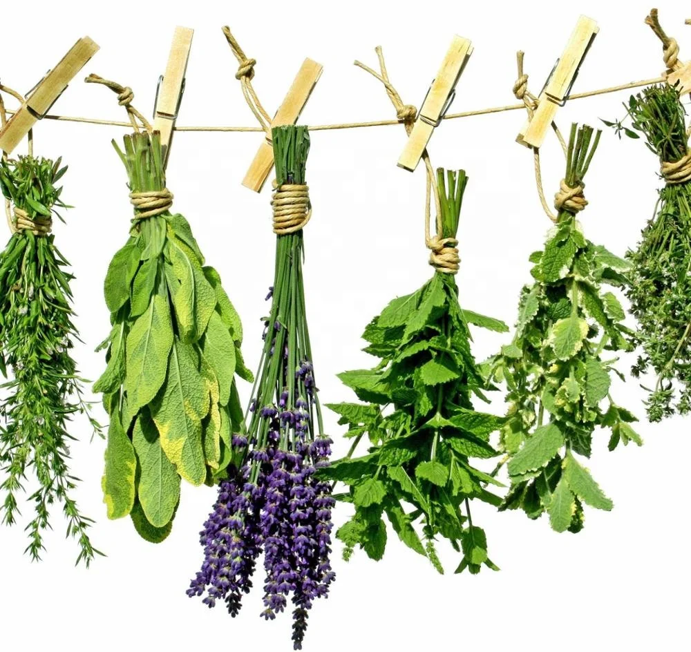 Herbal cigars Raw material Green Herbal Blends for Marshmellow leaves Green herbal Blends Bulk Bud herbal blends