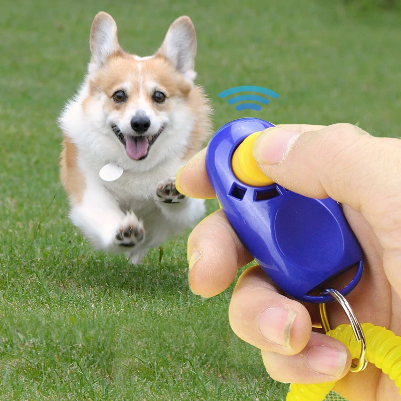 Wholesale Dog Accessories High Quality Dog Stop Barking Training Clicker Dog Clicker