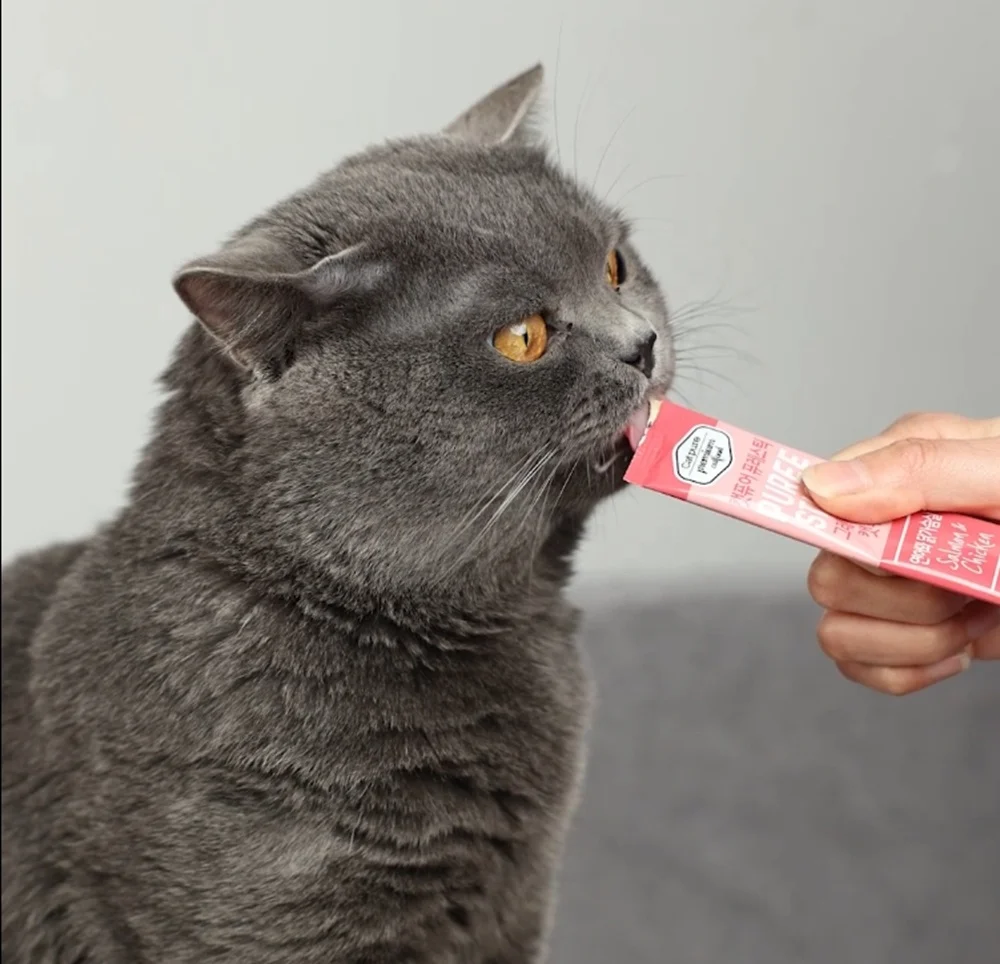 Good Price Miso Korean Brand 4 Flavours Liquid Wet Food Cat Treat Stick To Keep Healthy For Cats