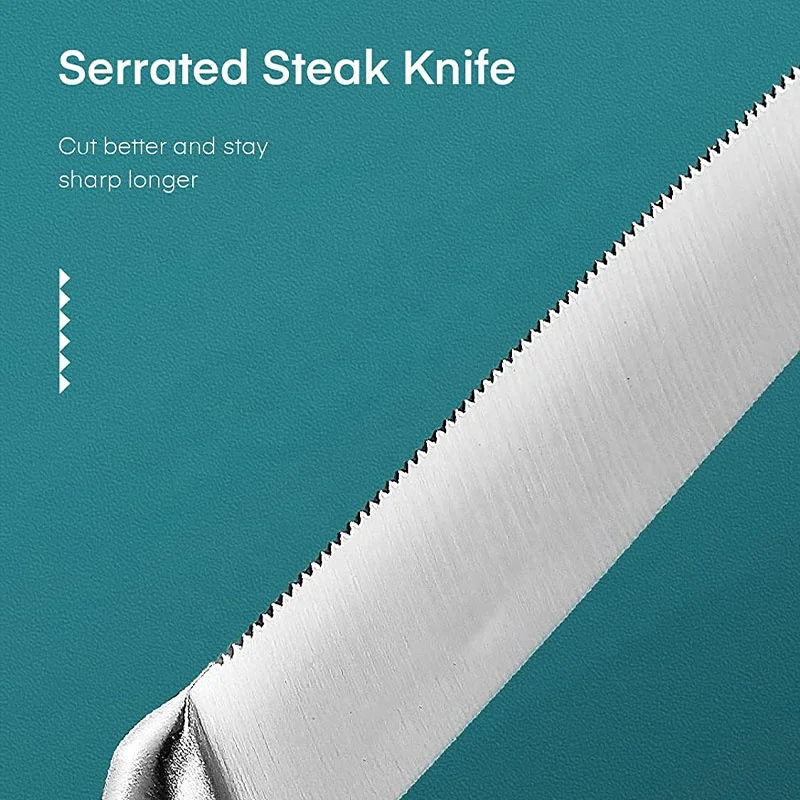 RUITAI Classical steak knife stainless steel cutting steak knife set with custom logo