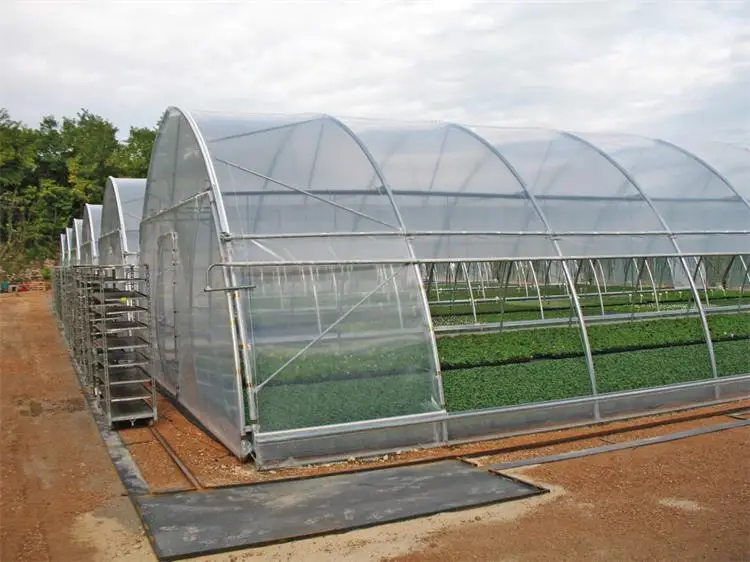 One one  High strength Agricultural poly tunnel Green House/tomato greenhouse for sale