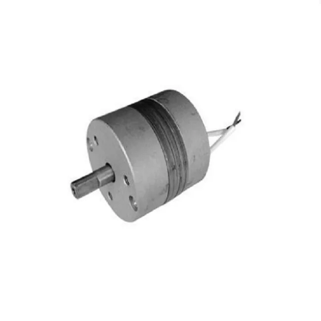 DC 12V magnetic coil material Rotating Electromagnet XZ2525 solenoid used in Hydraulic machinery equipment  lifting