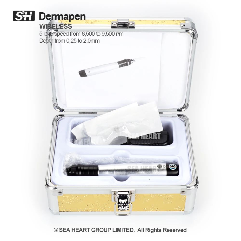 Hot Sale Derma Pen 2022 Microneedle Electric Dermapen A6 R1