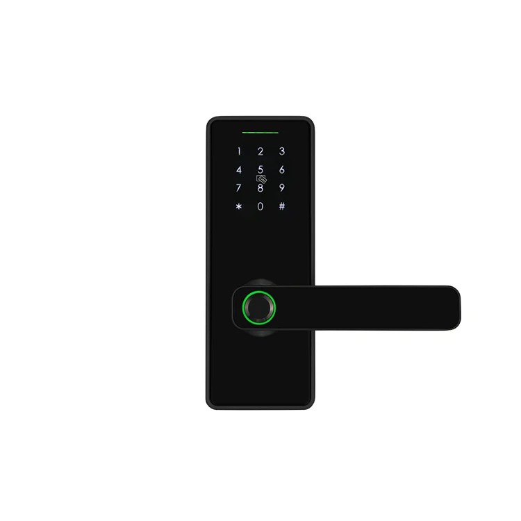 Waterproof Biometric Fingerprint Password IC Card Tuya TTlock APP Wifi Smart Wireless Remote Control Intelligent Door Lock