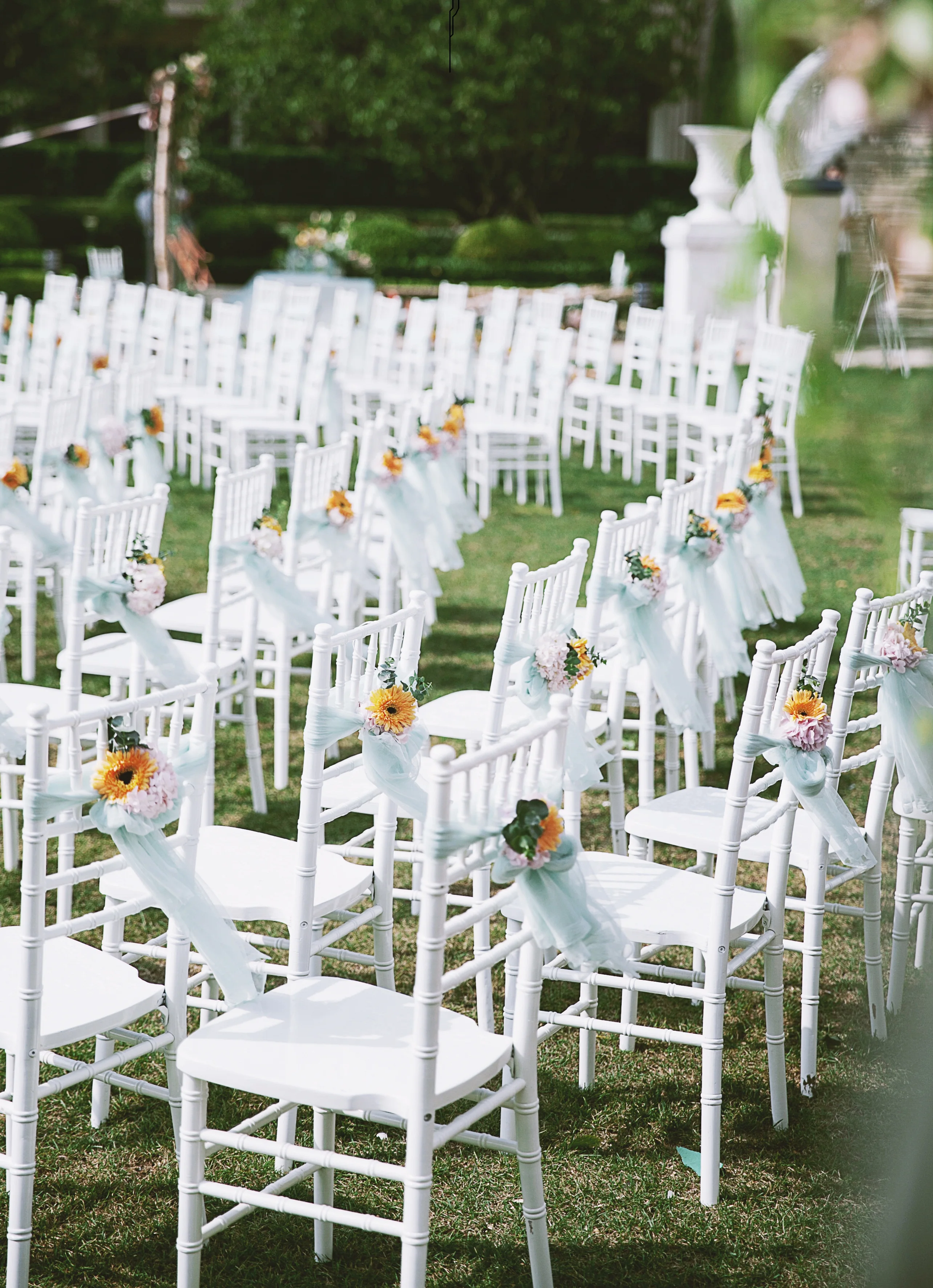 wholesale chiavari silla chairs White wood tiffany chiavari wedding hotel chair for banquet