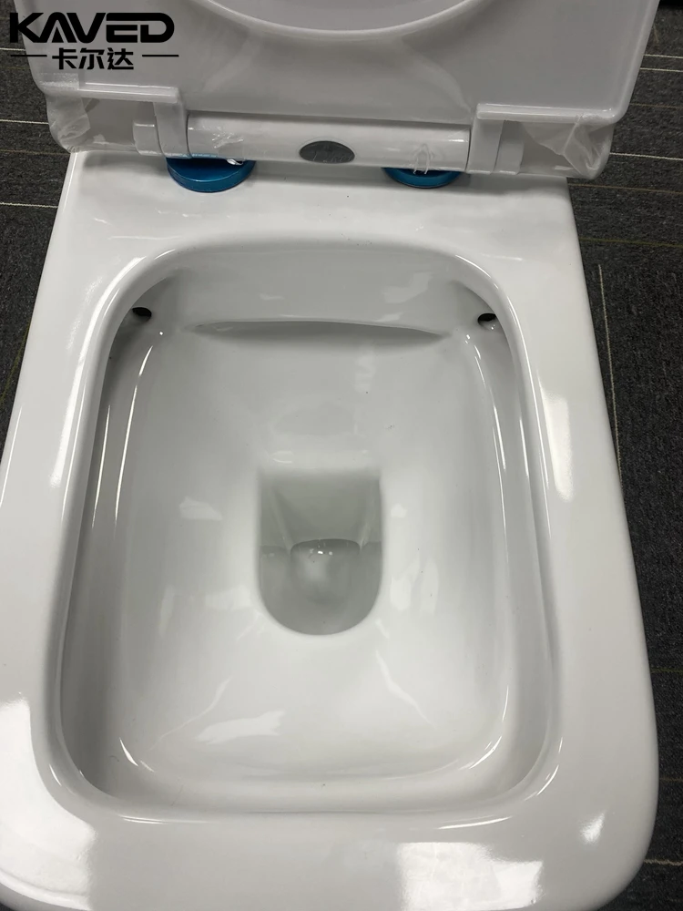 water closet back to wall hung concealed toilet sits bathroom wc