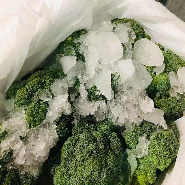 Fresh broccoli good quality broccoli wholesale fresh broccoli supplier from China