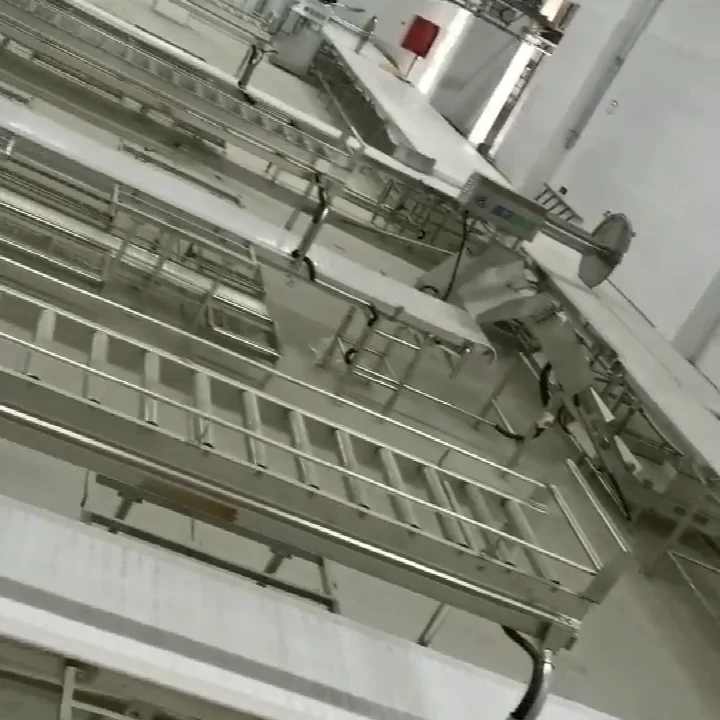 High Automatic Complete Pig Hair Removal Machine Hog Abattoir Butcher Equipment dehair Machine For Slaughterhouse Machinery