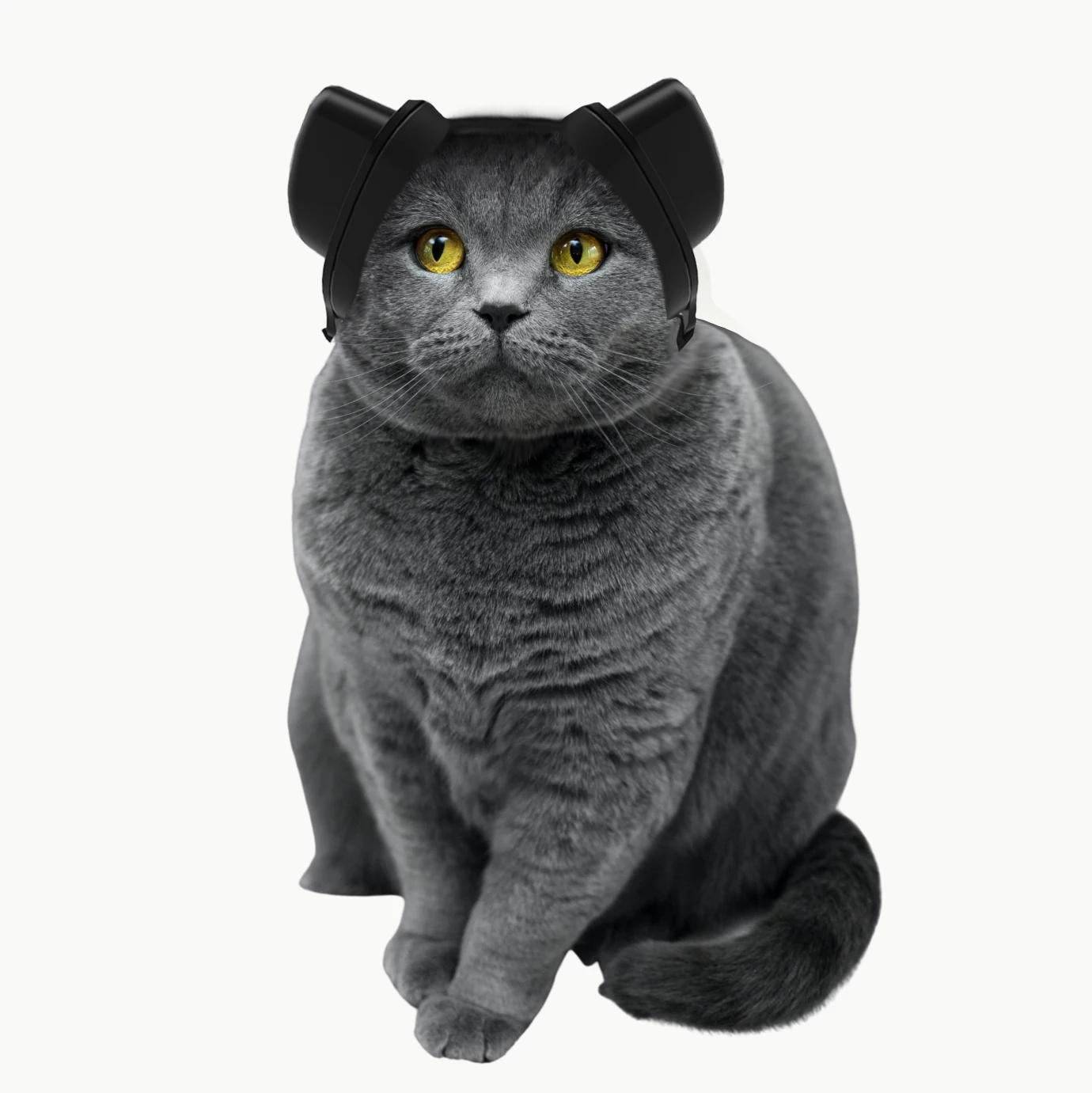 Ear Plugs for Hearing Noise canceling Earmuffs  Dog Hearing Protector Thunder Fireworks